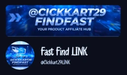 FinDLink, 